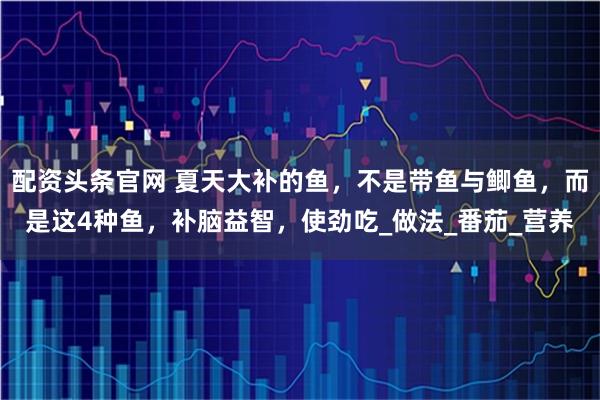 配资头条官网 夏天大补的鱼,不是带鱼与鲫鱼,而是这4种鱼,补脑益智,使劲吃_做法_番茄_营养