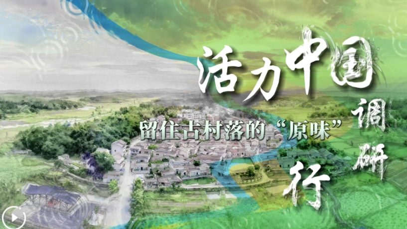 微信截图_20250724174747