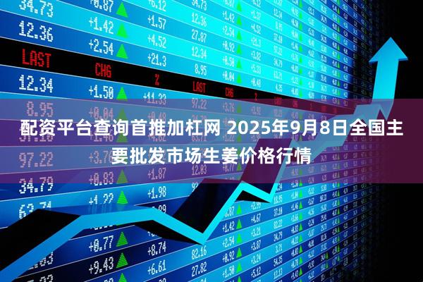 配资平台查询首推加杠网 2025年9月8日全国主要批发市场生姜价格行情